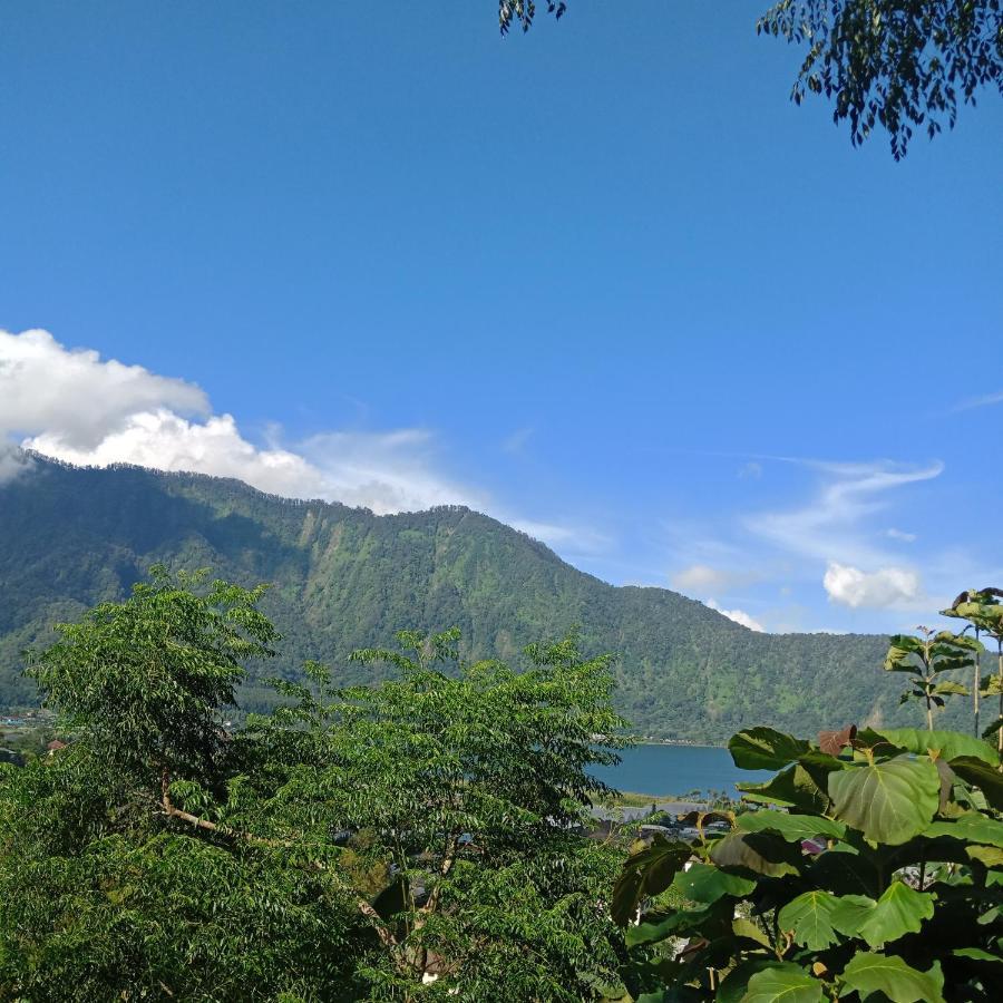 Eco Bedugul Adventurer Camp Bed & Breakfast ภายนอก รูปภาพ