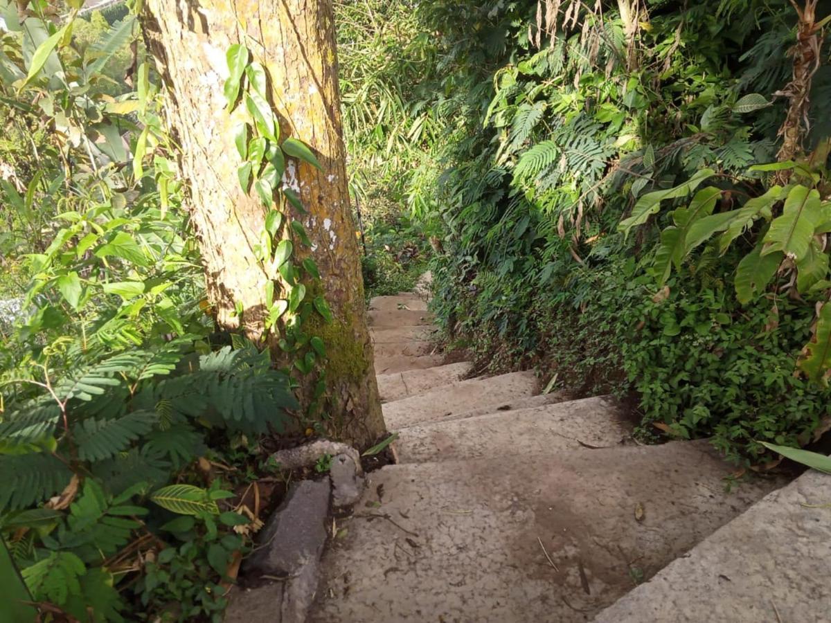 Eco Bedugul Adventurer Camp Bed & Breakfast ภายนอก รูปภาพ